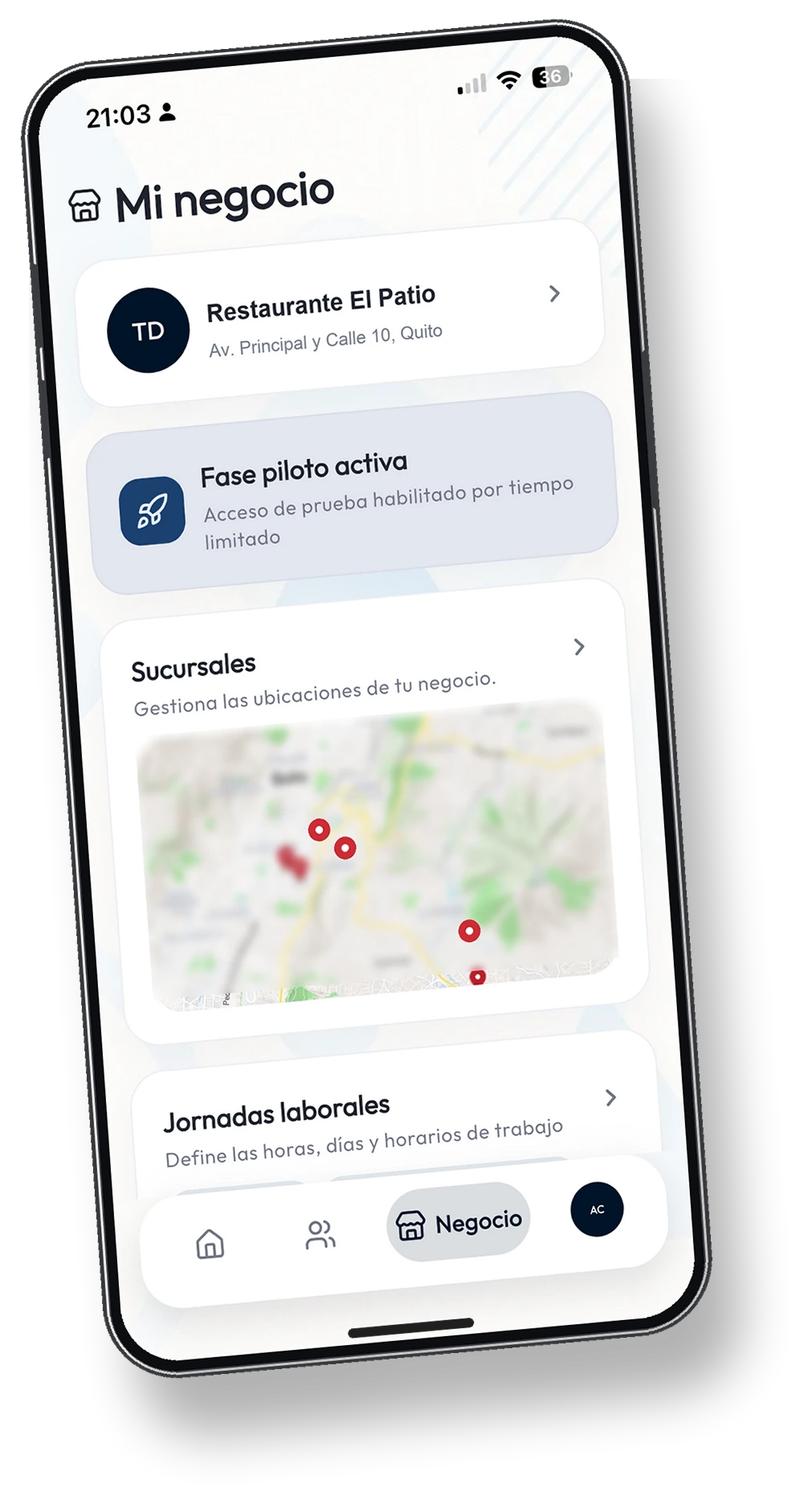 Mockup de iPhone con configuración de negocio en Access Pro